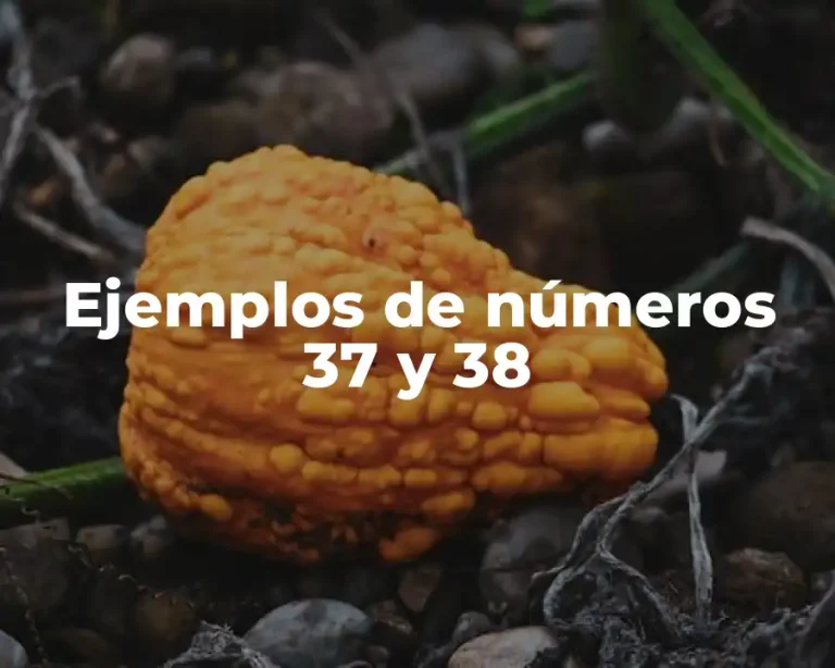 Ejemplos de números 37 y 38