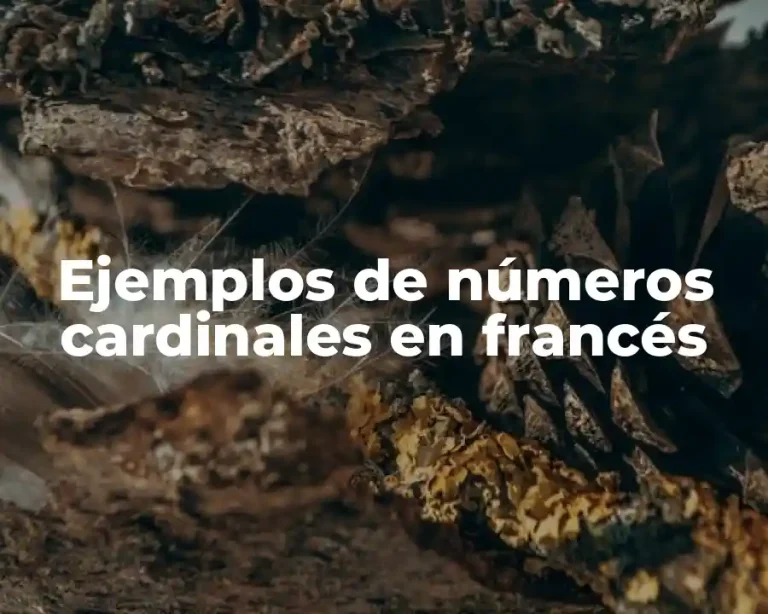 Ejemplos de números cardinales en francés
