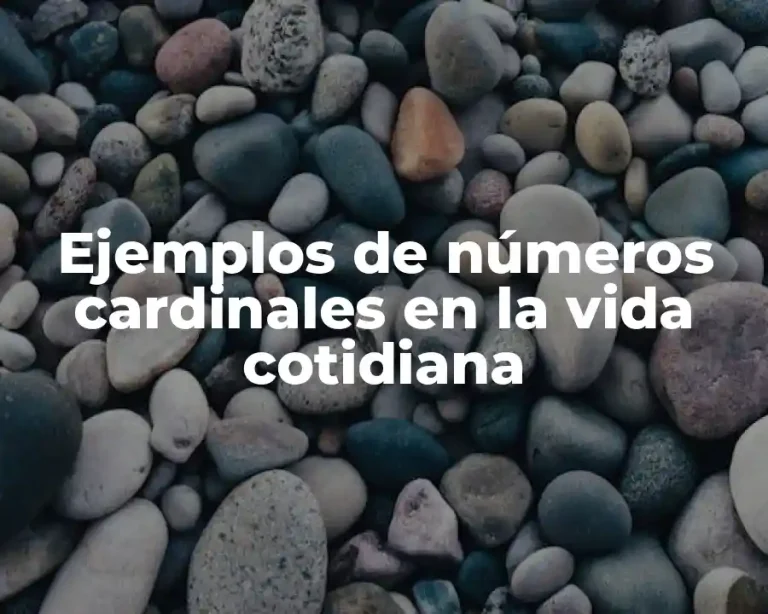 Ejemplos de números cardinales en la vida cotidiana
