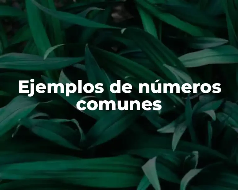 Ejemplos de números comunes