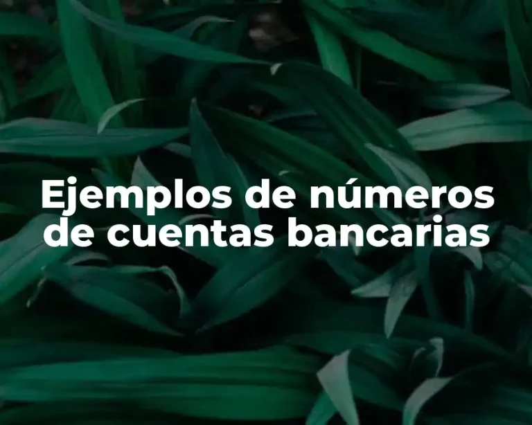 Ejemplos de números de cuentas bancarias