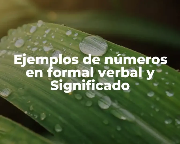 Ejemplos de números en formal verbal y Significado