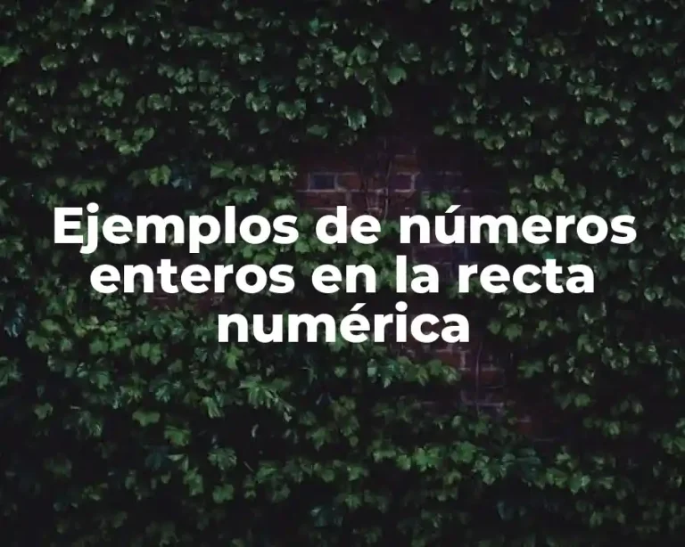 Ejemplos de números enteros en la recta numérica