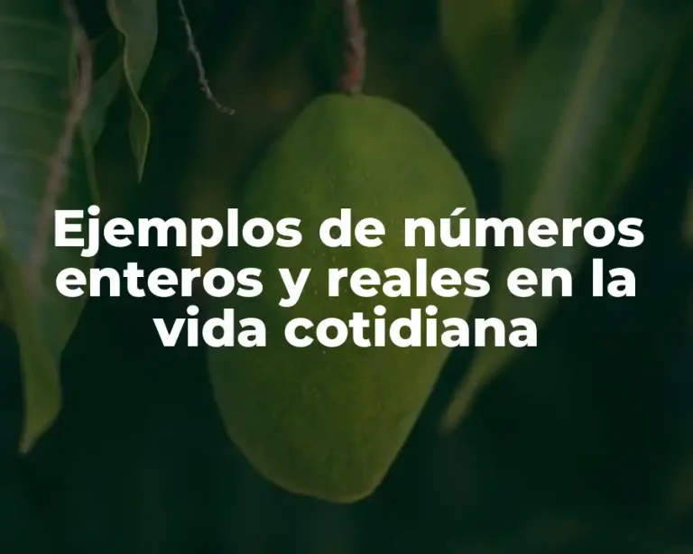 Ejemplos de números enteros y reales en la vida cotidiana