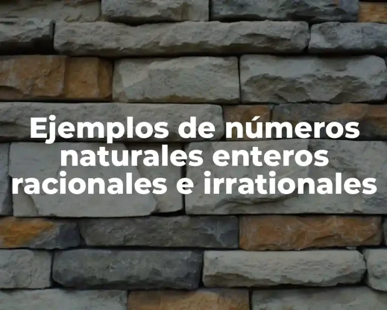 Ejemplos de números naturales enteros racionales e irrationales