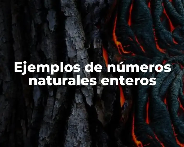 Ejemplos de números naturales enteros