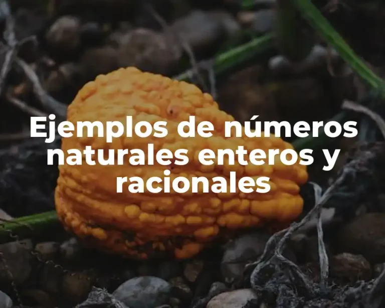 Ejemplos de números naturales enteros y racionales