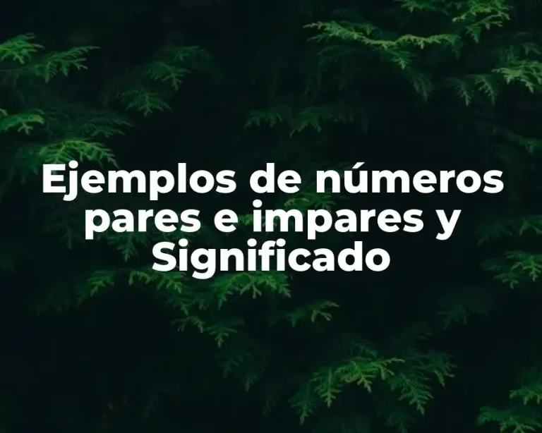 Ejemplos de números pares e impares y Significado