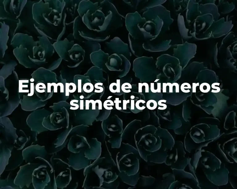 Ejemplos de números simétricos