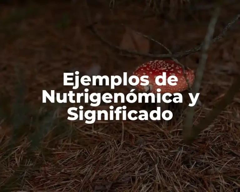 Ejemplos de Nutrigenómica y Significado