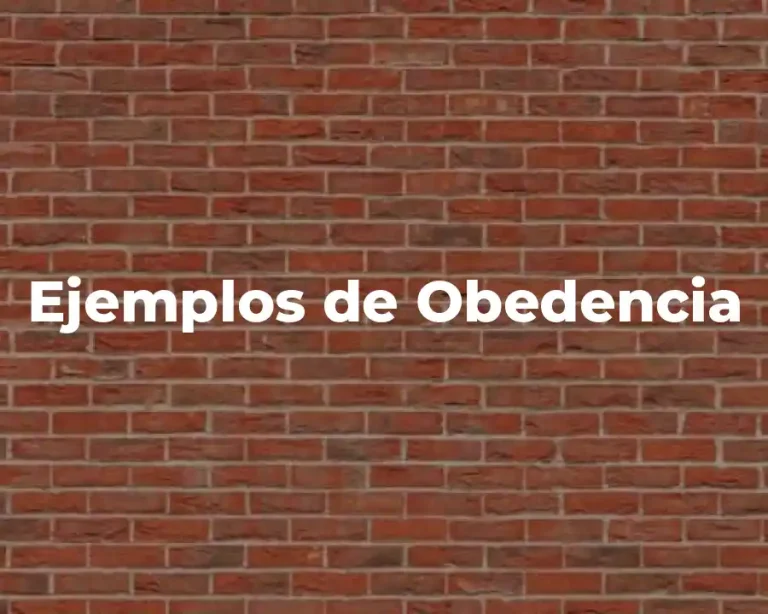Ejemplos de Obedencia