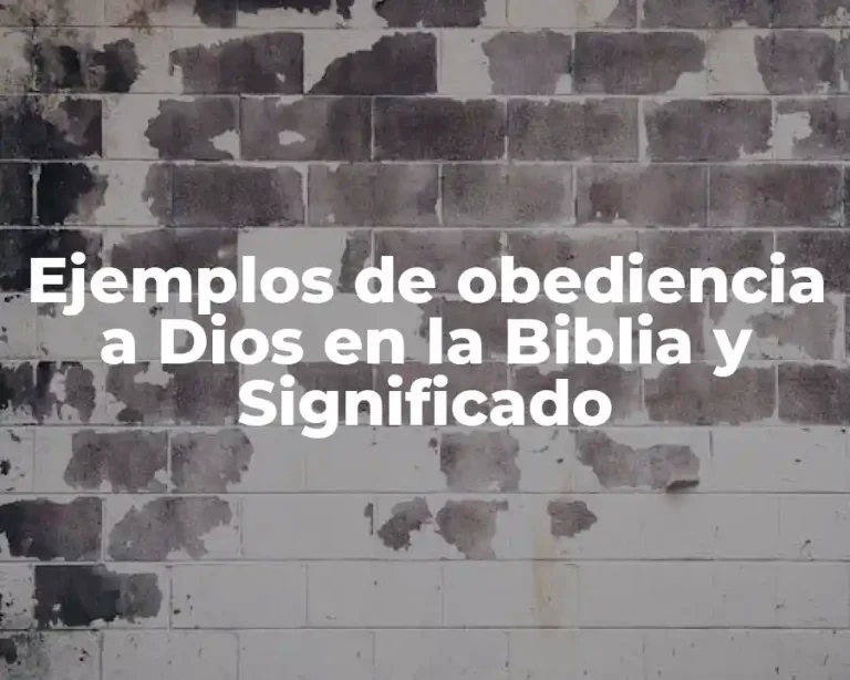 Ejemplos de obediencia a Dios en la Biblia y Significado