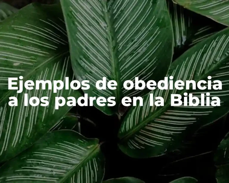 Ejemplos de obediencia a los padres en la Biblia