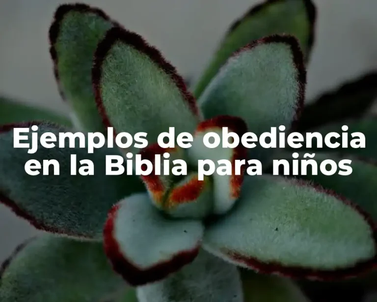 Ejemplos de obediencia en la Biblia para niños