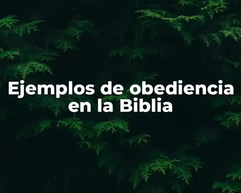 Ejemplos de obediencia en la Biblia