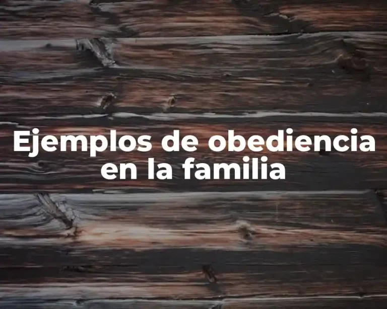 Ejemplos de obediencia en la familia