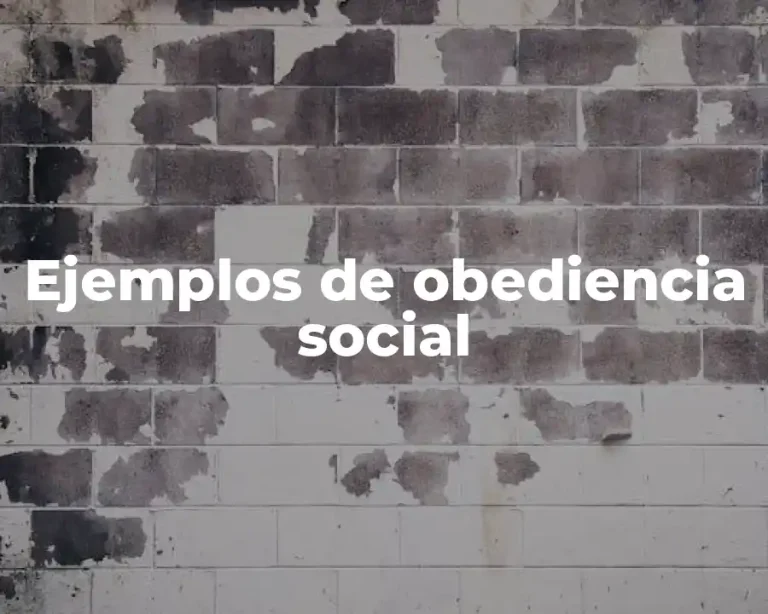 Ejemplos de obediencia social
