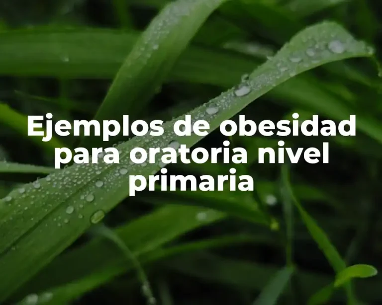 Ejemplos de obesidad para oratoria nivel primaria
