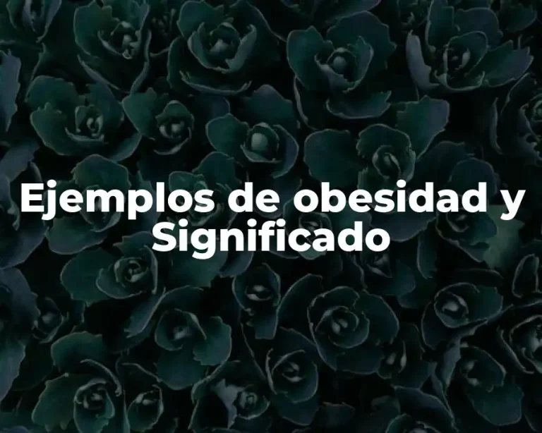 Ejemplos de obesidad y Significado