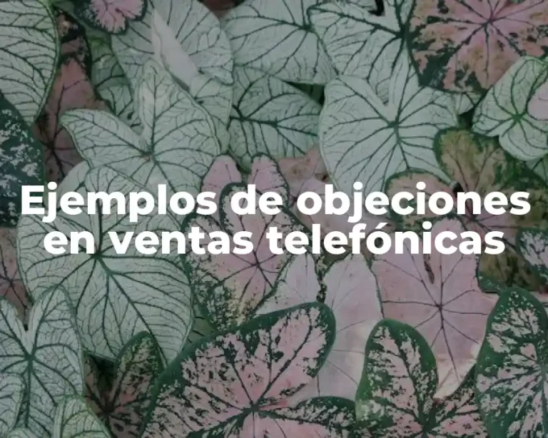 Ejemplos de objeciones en ventas telefónicas