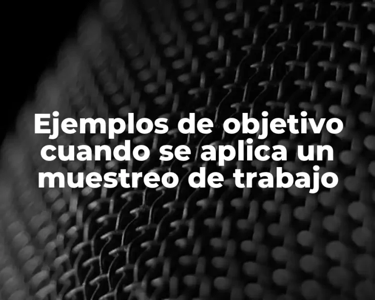 Ejemplos de objetivo cuando se aplica un muestreo de trabajo