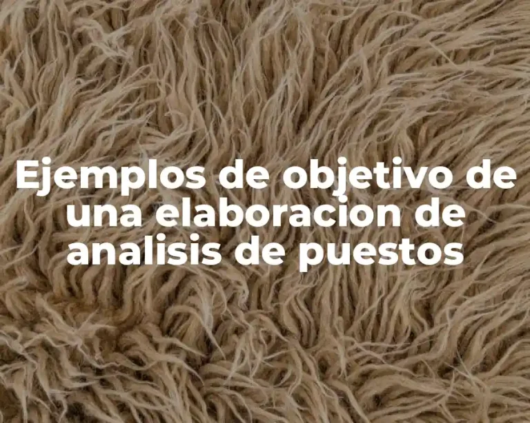 Ejemplos de objetivo de una elaboracion de analisis de puestos