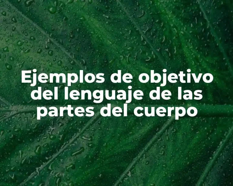 Ejemplos de objetivo del lenguaje de las partes del cuerpo