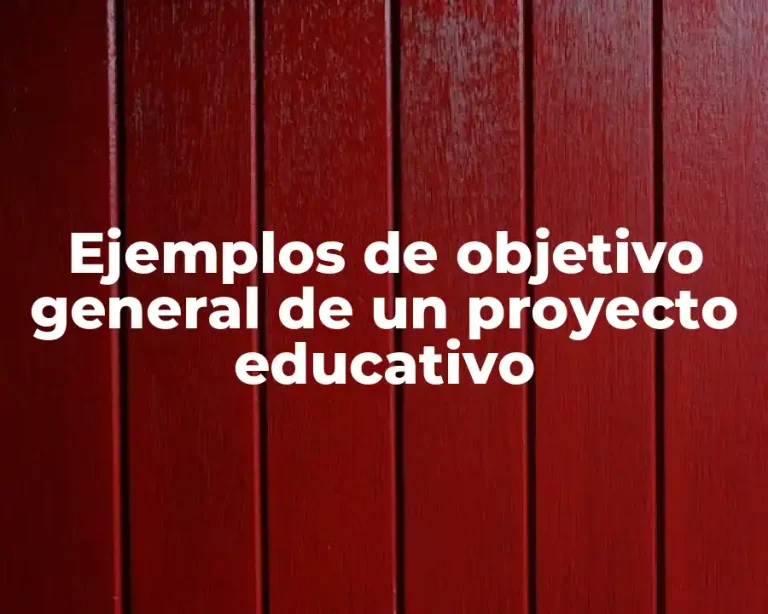 Ejemplos de objetivo general de un proyecto educativo