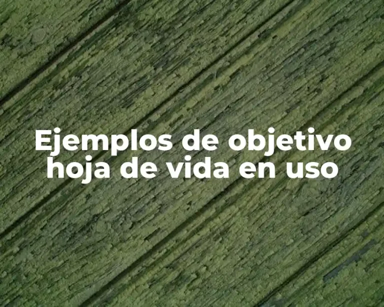 Ejemplos de objetivo hoja de vida en uso