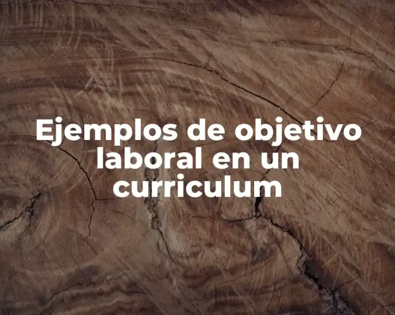 Ejemplos de objetivo laboral en un curriculum