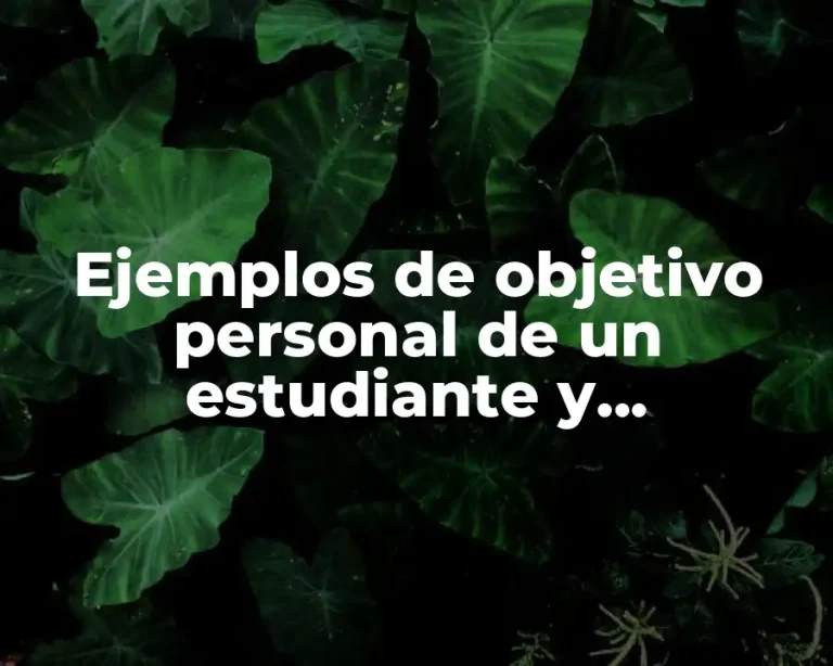 Ejemplos de objetivo personal de un estudiante y Significado