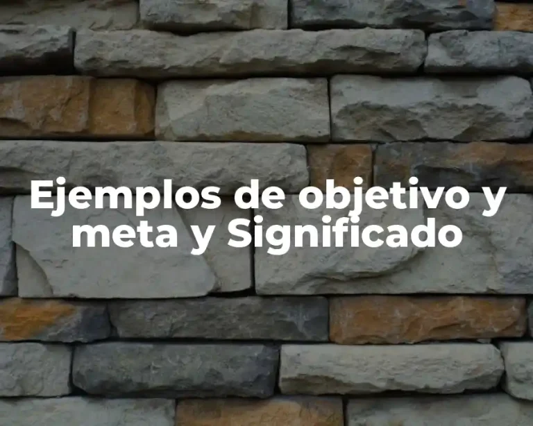 Ejemplos de objetivo y meta y Significado