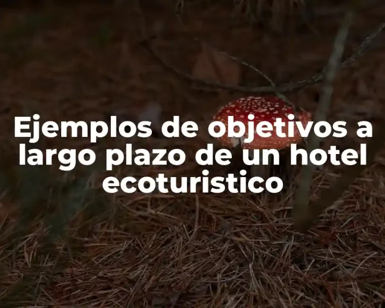 Ejemplos de objetivos a largo plazo de un hotel ecoturistico