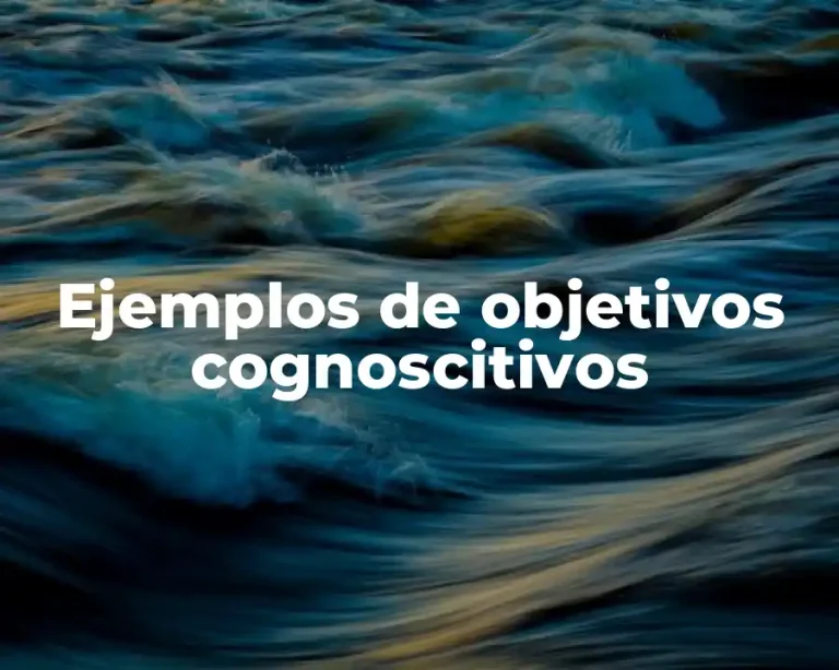 Ejemplos de objetivos cognoscitivos