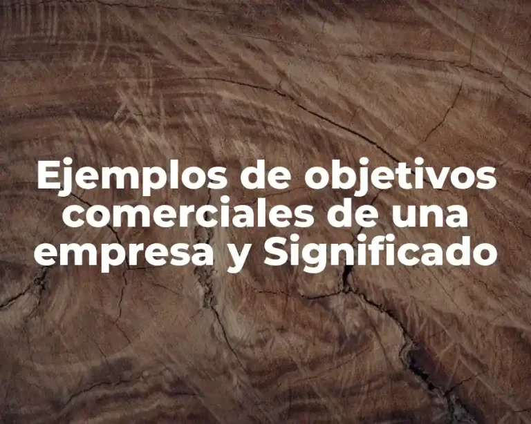 Ejemplos de objetivos comerciales de una empresa y Significado
