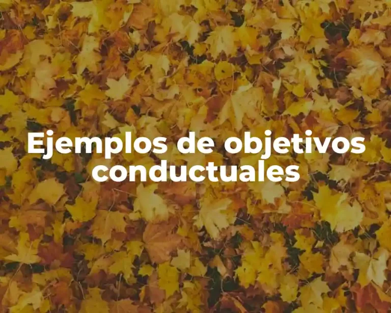 Ejemplos de objetivos conductuales