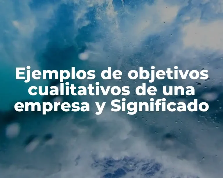 Ejemplos de objetivos cualitativos de una empresa y Significado