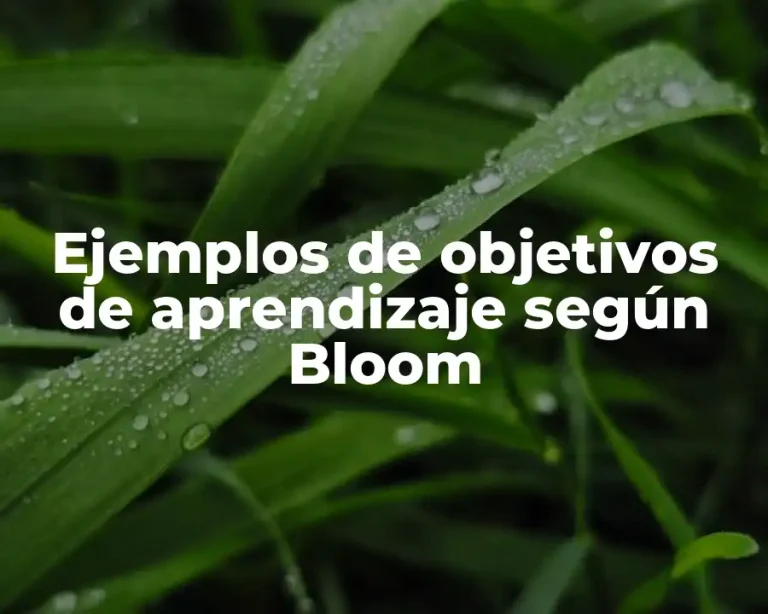 Ejemplos de objetivos de aprendizaje según Bloom