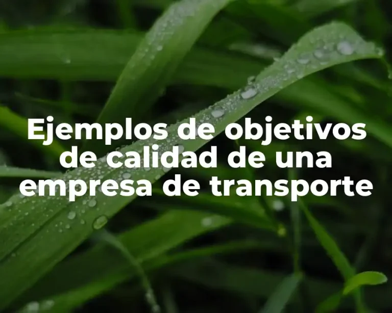Ejemplos de objetivos de calidad de una empresa de transporte