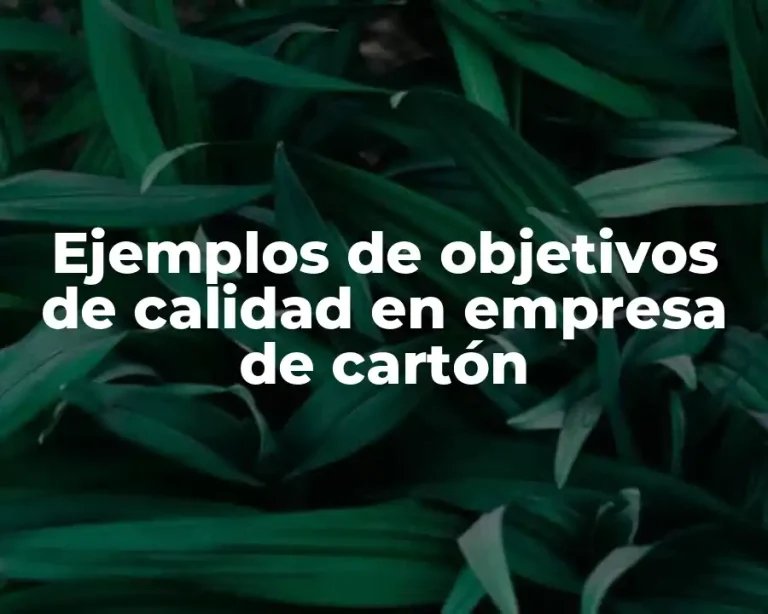 Ejemplos de objetivos de calidad en empresa de cartón