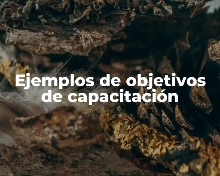 Ejemplos de objetivos de capacitación