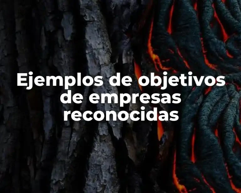 Ejemplos de objetivos de empresas reconocidas