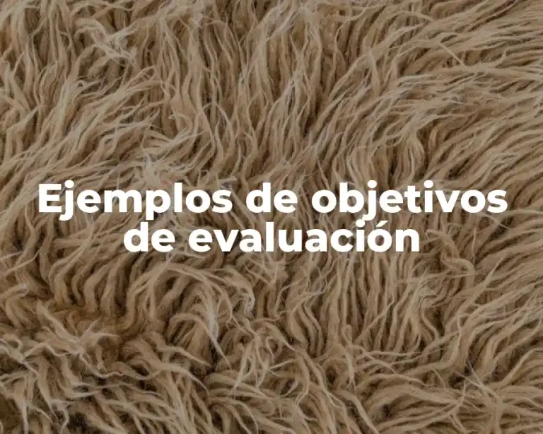 Ejemplos de objetivos de evaluación