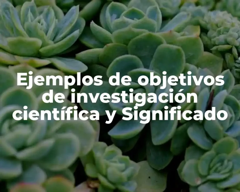 Ejemplos de objetivos de investigación científica y Significado