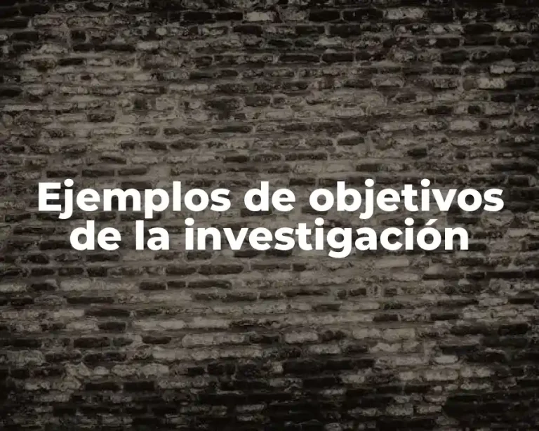 Ejemplos de objetivos de la investigación