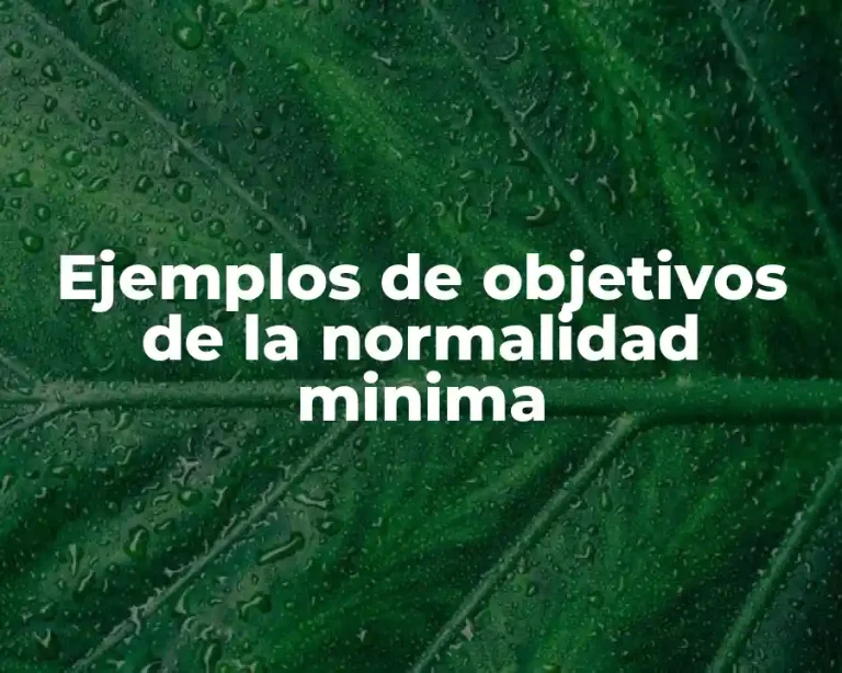 Ejemplos de objetivos de la normalidad minima