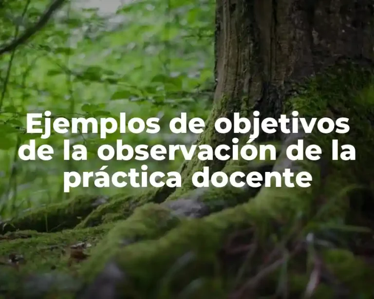 Ejemplos de objetivos de la observación de la práctica docente