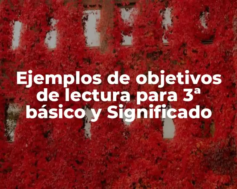 Ejemplos de objetivos de lectura para 3ª básico y Significado