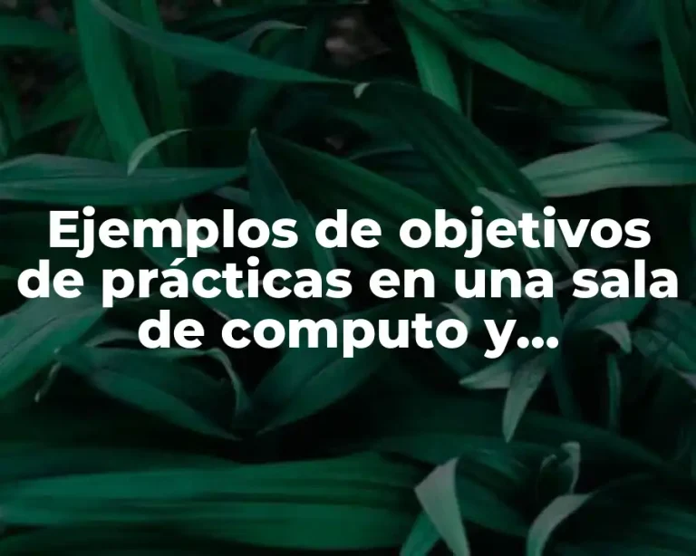 Ejemplos de objetivos de prácticas en una sala de computo y Significado