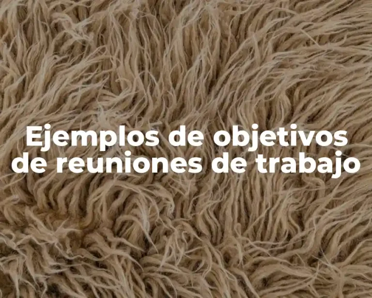 Ejemplos de objetivos de reuniones de trabajo